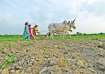 Farmer suicides averaged 9 a day in parched Maharashtra Farmer suicides averaged 9 a day in parched Maharashtra