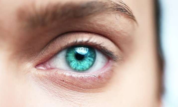 synthetic retina