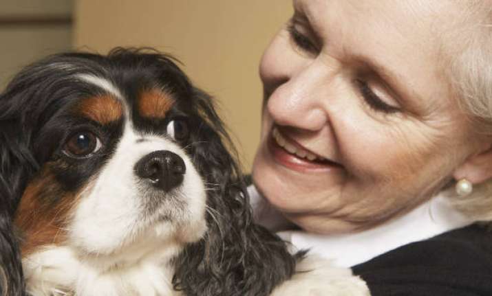 owning pets keep elderly active