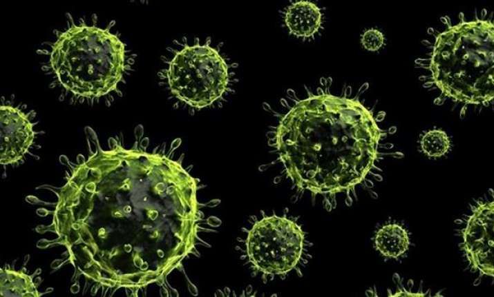 H1N1 virus swine flu