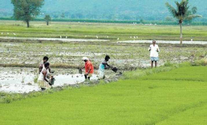 The Cabinet today decided to extend the interest subvention