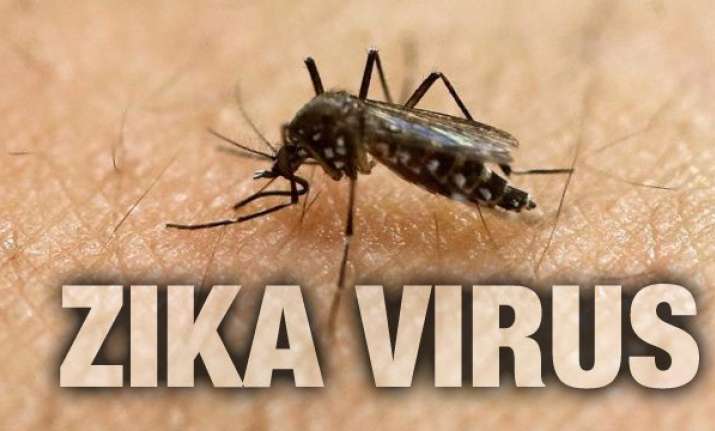 zika virus myths