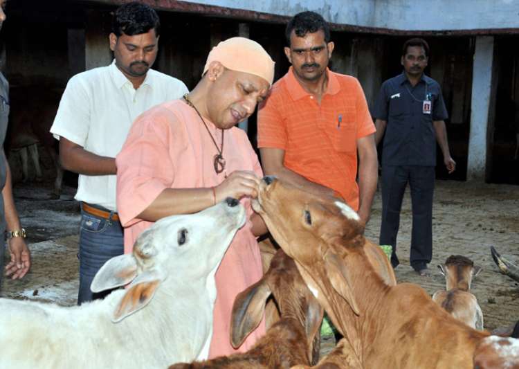 Uttar Pradesh Assembly session marred by unruly Opposition protests; governor targeted