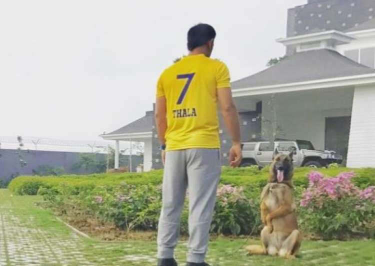 CSK and RR to make IPL comeback next year CSK and RR to make IPL comeback next year