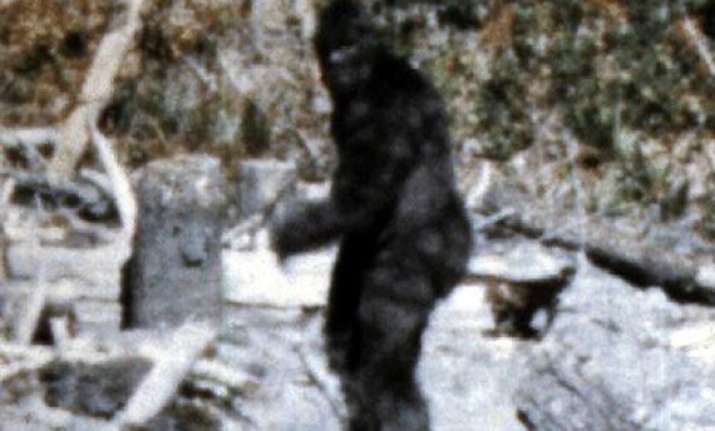 Bigfoot Is Part Human Who Had Sex With Human Females 15 000 Years Ago