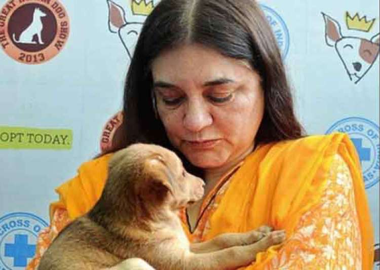maneka gandhi v union of india Supreme court of india original writ jurisdiction public interest litigation wp (civil) no _____ of 2014 maneka gandhi v union of india, (1978) . maneka gandhi v union of india Supreme court of india original writ jurisdiction public interest litigation wp (civil) no _____ of 2014 maneka gandhi v union of india, (1978) .