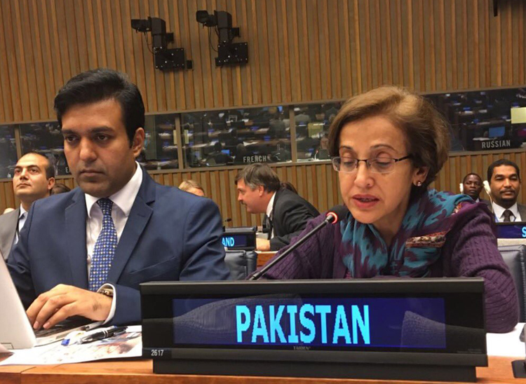 Tehmina Janjua Becomes Pakistan S First Woman Foreign Secretary India Tv