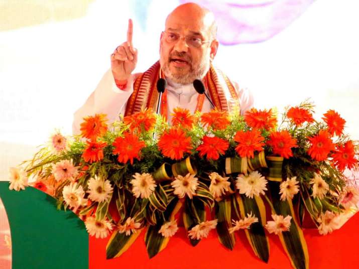Amit Shah speaks at BJP National Executive meet