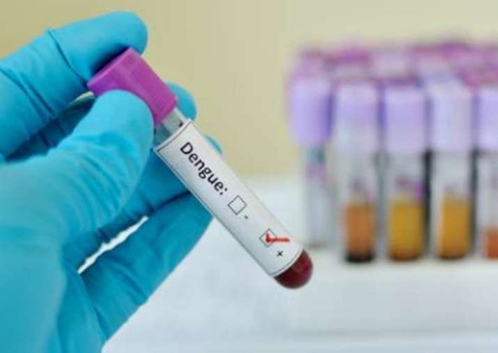 Nearly 100 cases of chikungunya in Delhi, 40 of dengue