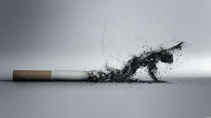 India Tv - smoking kills India Tv - smoking kills