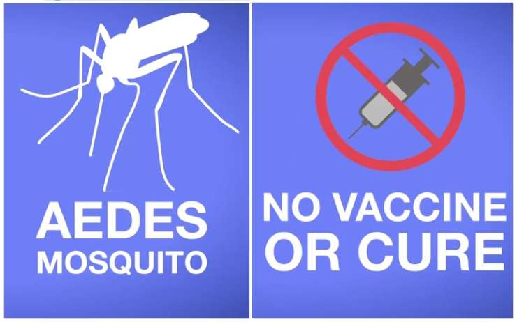 How deadly is the Zika Virus?