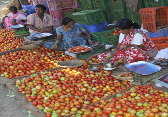 Uttarakhand Effect Tomatoes Selling Rs A Kg In Delhi National