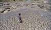 Drought in Maharashtra