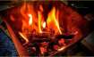 Vastu Shastra: Know what elements are a must in your 'hawan samagri'