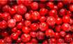 cranberries 