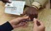Harayana polls, Haryana municipal body polls, Haryana Municipal Corporation Election, June 19, Harya