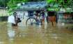 Over 5 lakh people are affected by the flood in 12