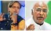 Are Shashi Tharoor and Mallikarjun Kharge likely to contest