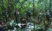Children, lost for 40 days in amazon forest, found alive