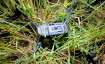 BSF shoots down drone in Punjab's Tarn Taran district.  