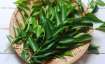 Curry Leaves