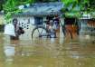 Odisha flood, Odisha flood situation 2022