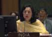 India expresses concern over reports of shelling near Ukraine nuclear power plant, UN Security Counc