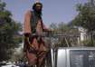 TTP commander killed, Tehreek-e-Taliban Pakistan, Omar Khalid Khorasani, TTP Commander Omar Khalid K
