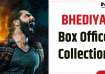 Bhediya Box Office 