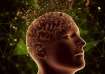 What happens inside your brain during near-death experiences and after death are questions that have