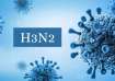 Can antibiotics help in H3N2 cases