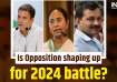 AAP, TMC support Congress