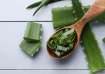 Ways to preserve Aloe Vera gel 