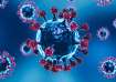 Know how to reduce Covid risk amid H3N2 virus outbreak