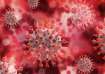 Coronavirus alert, coronavirus total case, coronavirus cases, covid 19 cases, covid 19 total cases, 