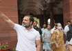 Congress leader Rahul Gandhi waves as opposition MPs walk