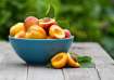 Apricot