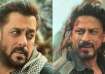 Shah Rukh Khan will have a cameo in Tiger 3 alongside Salman Khan.