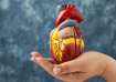 world heart day 2023