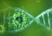 Nipah Virus cases rise in Kerala