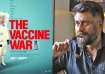 The Vaccine War box office collection 