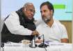 Congress promises to bring law ensuring MSP for various crops if INDIA alliance voted to power