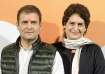 Lok Sabha Election 2024: Rahul, Priyanka Gandhi not to contest from Uttar Pradesh