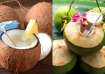 Coconut vs Tender Coconut