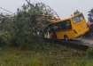 A tree falls on a school bus in Sonitpur