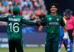 Pakistan will take on Canada in a must-win T20 World Cup