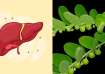 Get rid of liver issues with Bhumi Amla