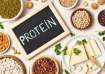 excess protein can be harmful to your health