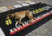 A stray dog rests on a banner that reads "#withdraw the