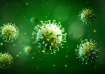 Chandipura Virus spreads rapidly among children